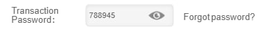 Transaction password